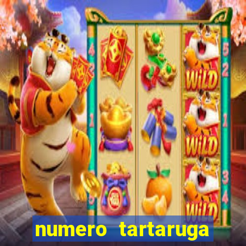 numero tartaruga jogo do bicho